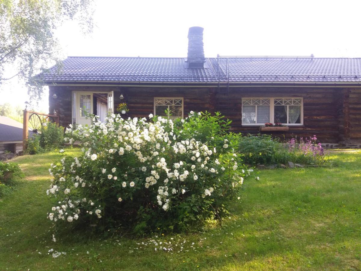 A Room In A Lapland House Of Dreams Ροβανιέμι Εξωτερικό φωτογραφία